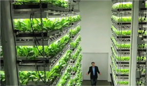 VerticalFarming