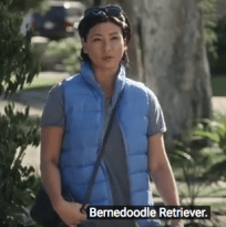 Screen Shot 2018-07-02 at 7.53.51 AM