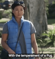 Screen Shot 2018-07-02 at 7.54.04 AM