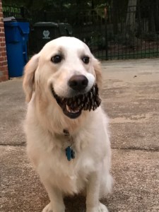 H3PGYeoKTl+VkF2nwdOojw